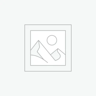 Suspendisse gravida lacus varius